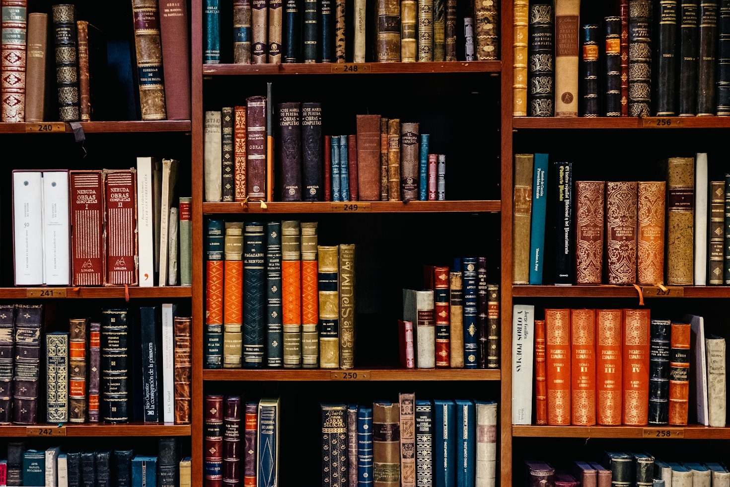Essential Steps For Starting Your Project